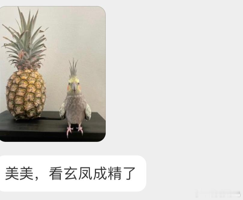 只能说一模一样哈哈哈哈怪不得叫 凤梨！ ​​​