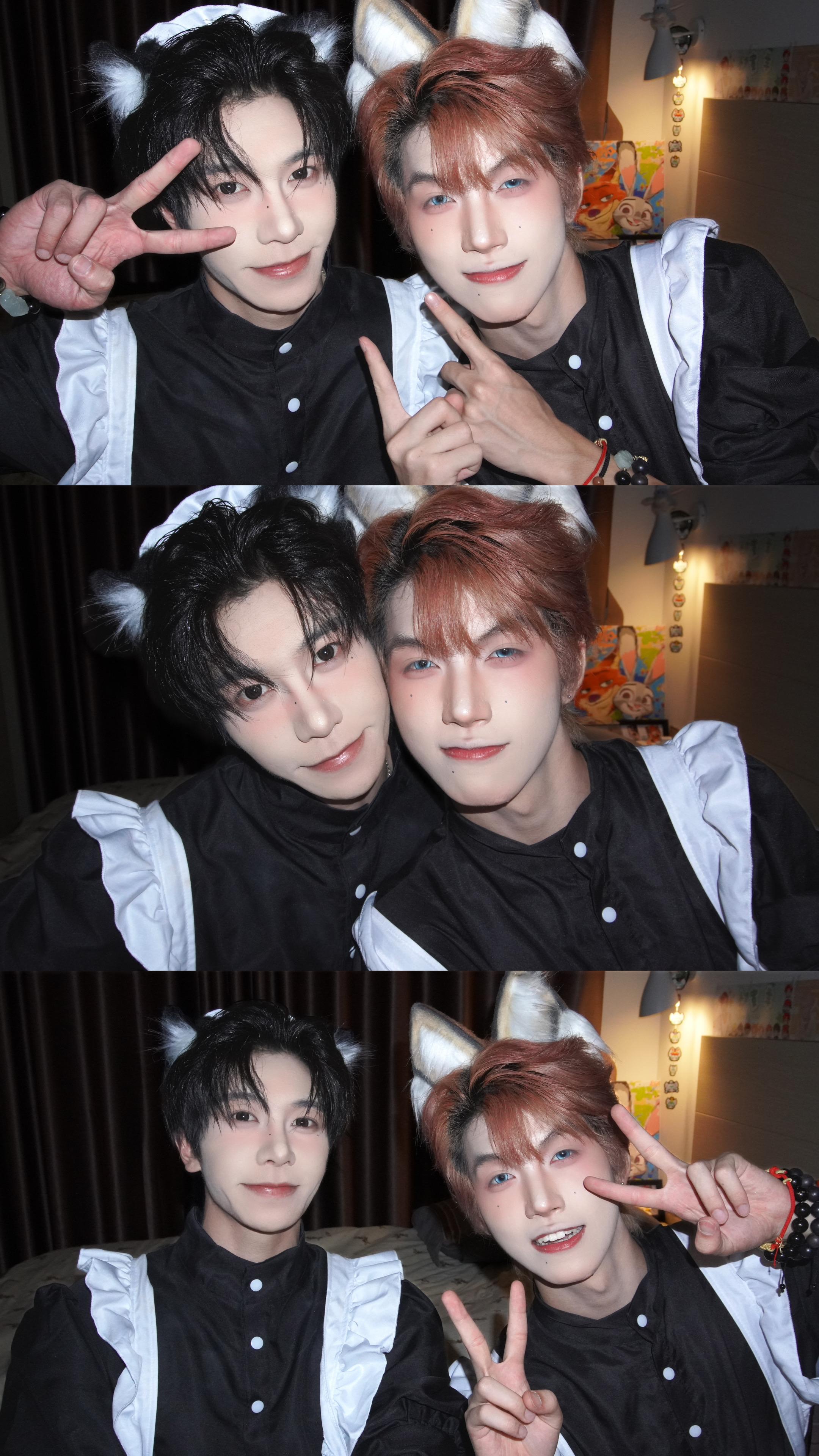 Take me home 🐈‍⬛🦊