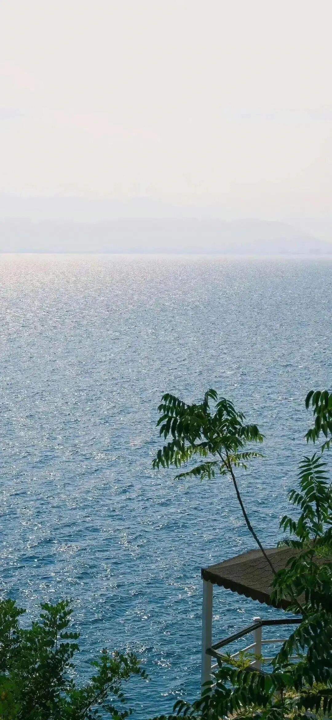 借一点温柔，渡漫长日常 