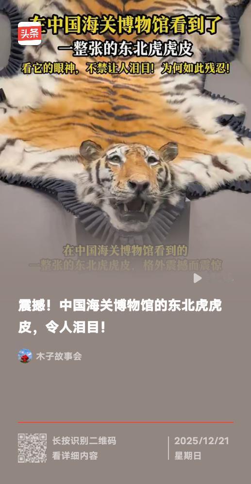 夫妻遇东北虎下山第一眼看成大黄狗：笑着笑着，就懂了这人间最珍贵的天真
 
谁能想