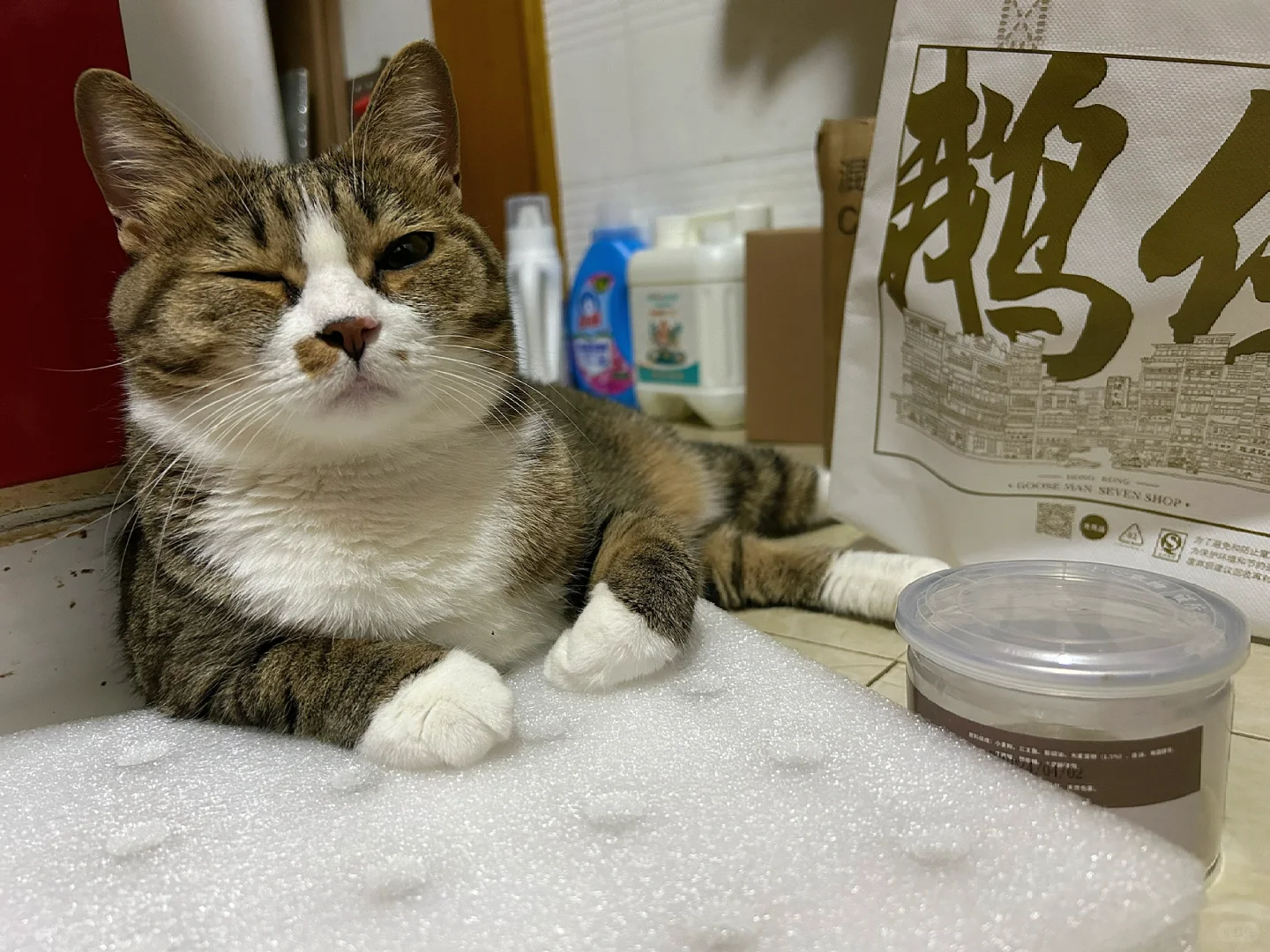 左滑，小猫送你一个wink～