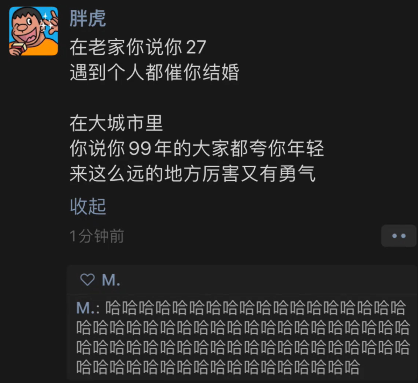 《当我提起我的年纪时》 