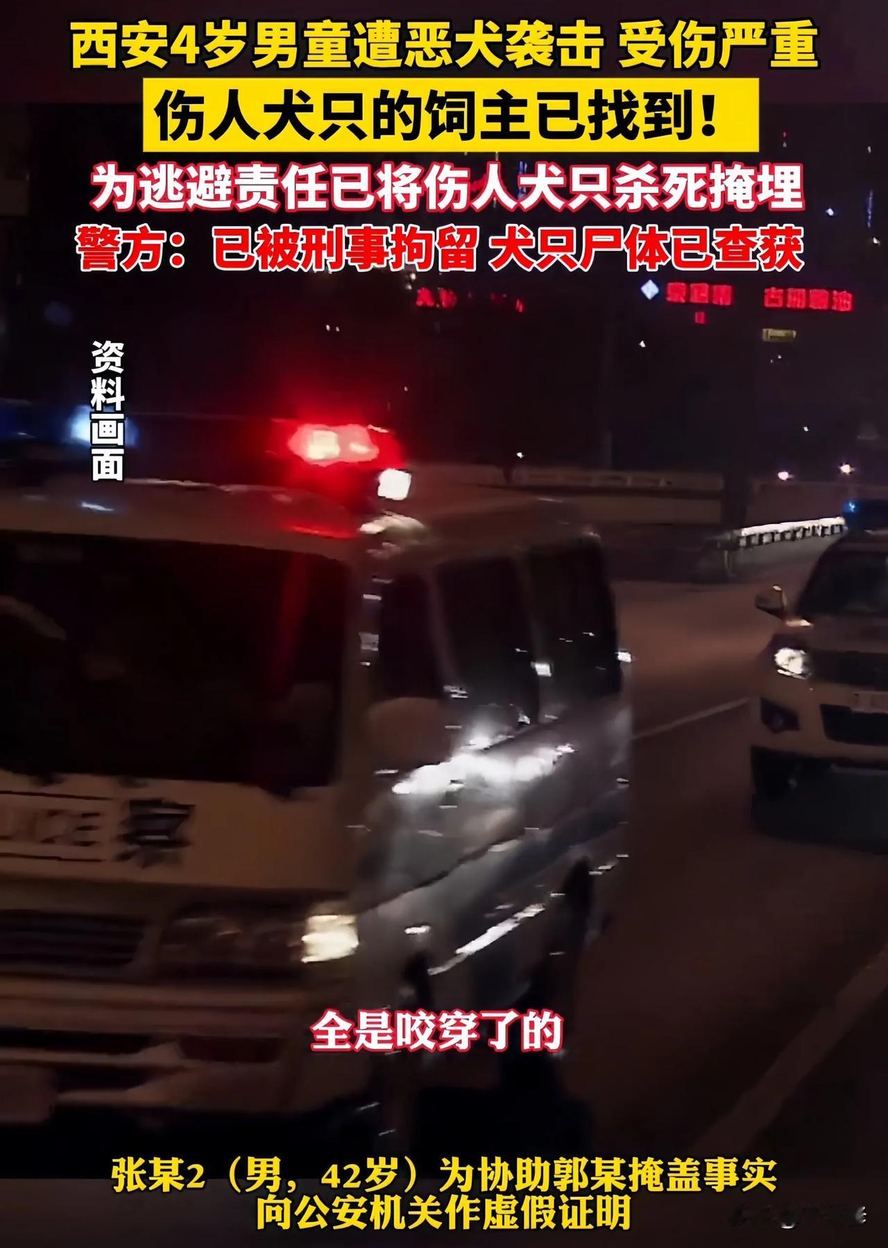 西安恶犬撕咬四岁男童，狗主人是个狠人！

遛狗不牵绳，没咬人时说∶我的狗通人性，