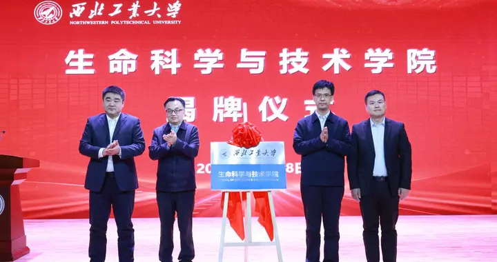 985大学，成立新学院！