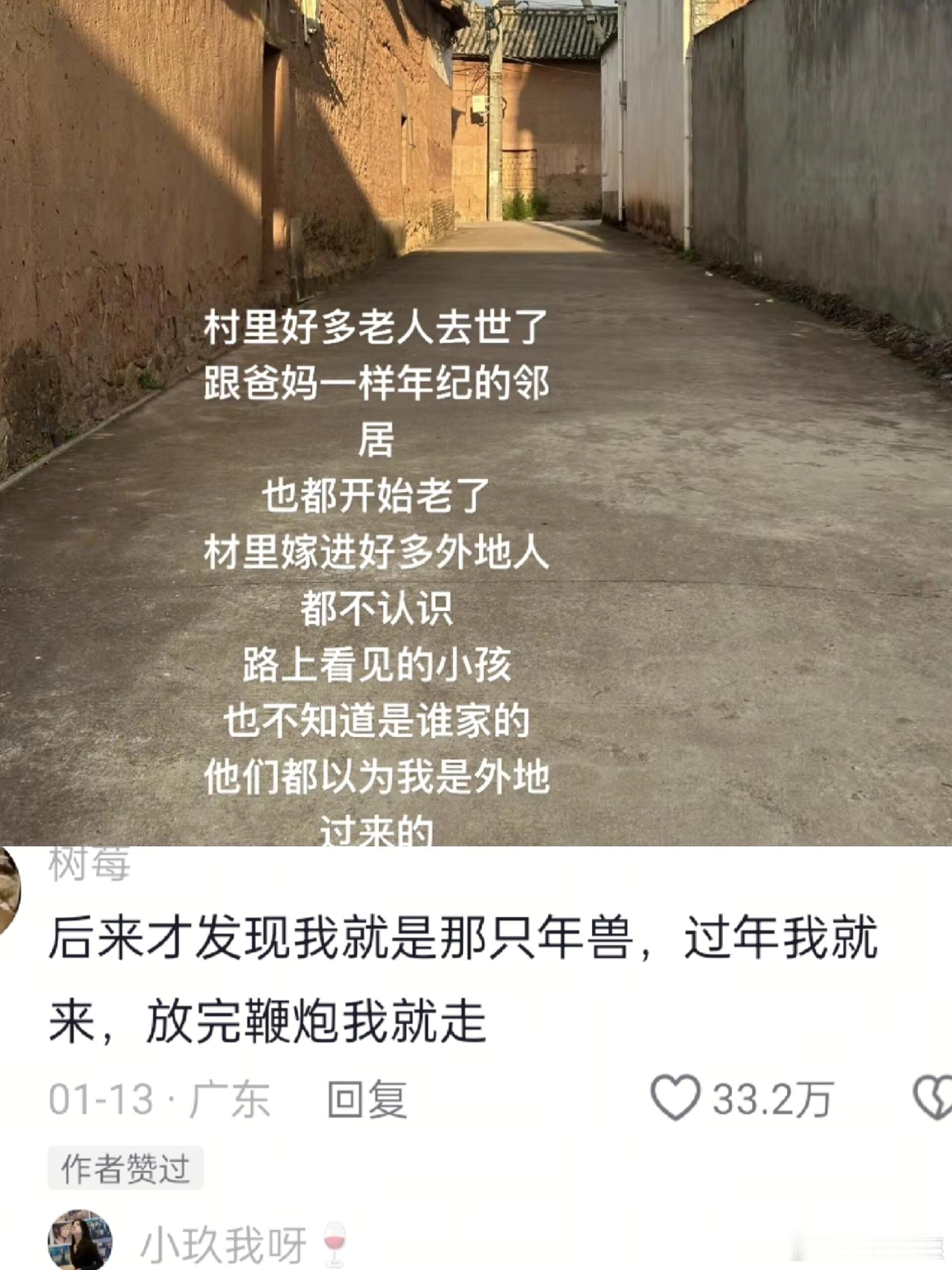 后来发现我就是那只年兽😭 