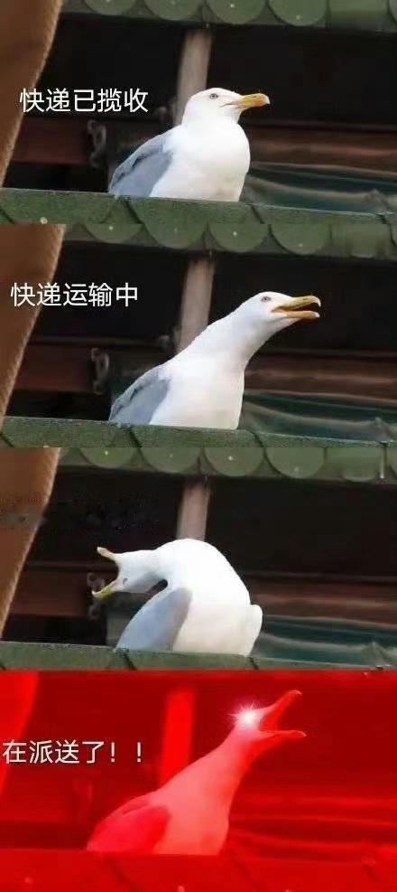 今年的天猫618也太好买了【有些购物是在维系心理健康】买杯咖啡，买件衣服，买点没