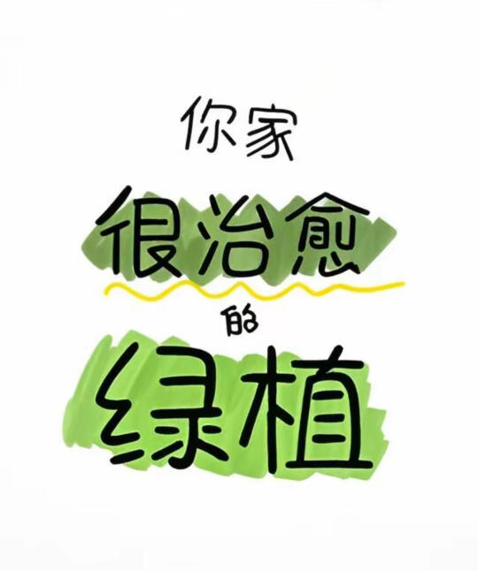 家里的花花草草千万别乱发朋友圈
