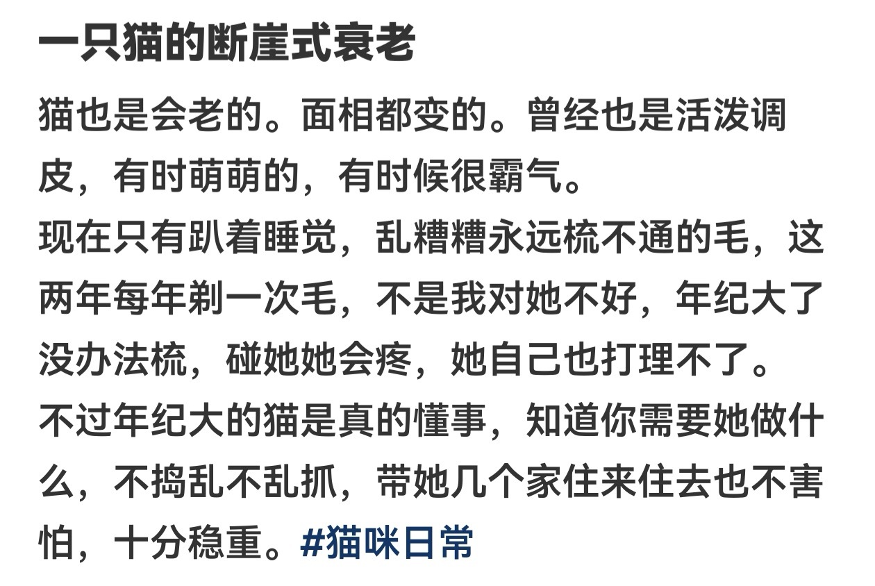 突然发现猫也会断崖式衰老 ​​​