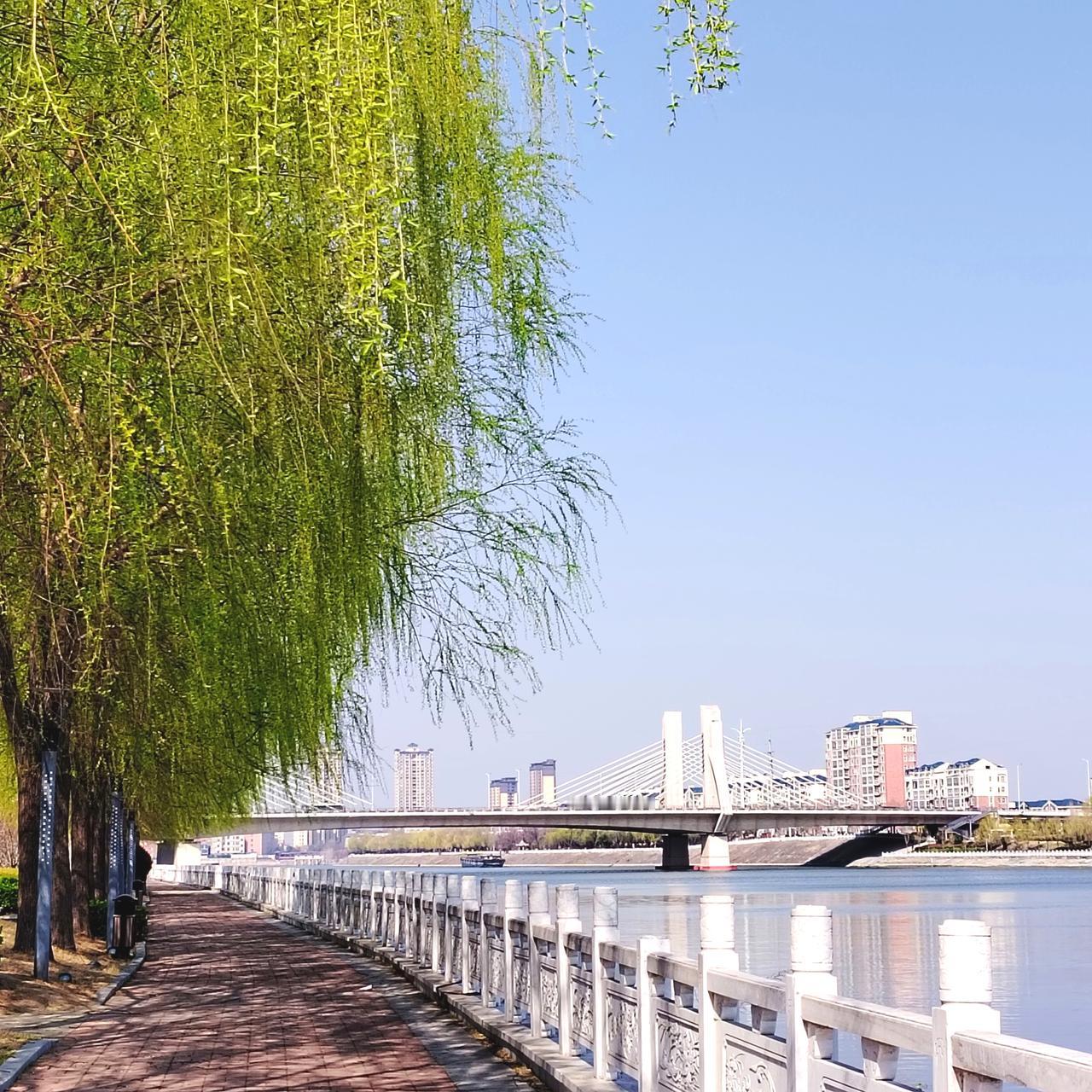 当地辟谣男子因天价彩礼跳河为什么？
9月12日下午，河南周口沈丘县“网红桥”沙河