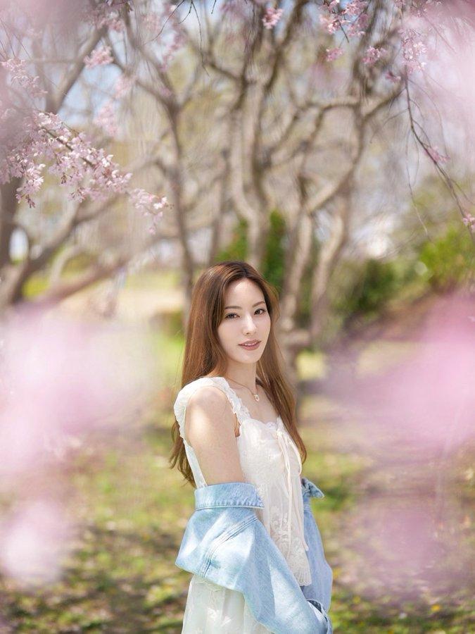 你也喜欢在海棠花树下拍照吗? 海棠花盛开的季节，谁能拒绝在花树下拍照呢？星野奏，