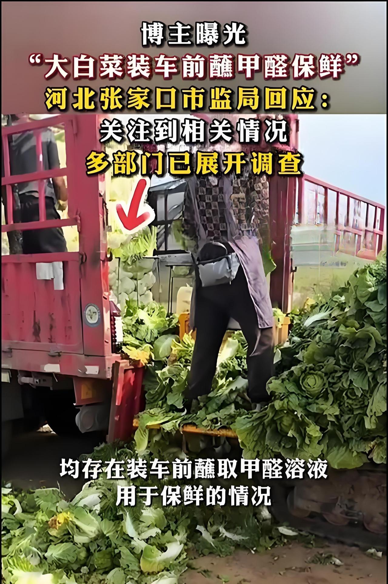 甲醛大白菜，河北张家口大白菜真吓人！

大白菜过去是北方城市老百姓冬天的家庭主菜