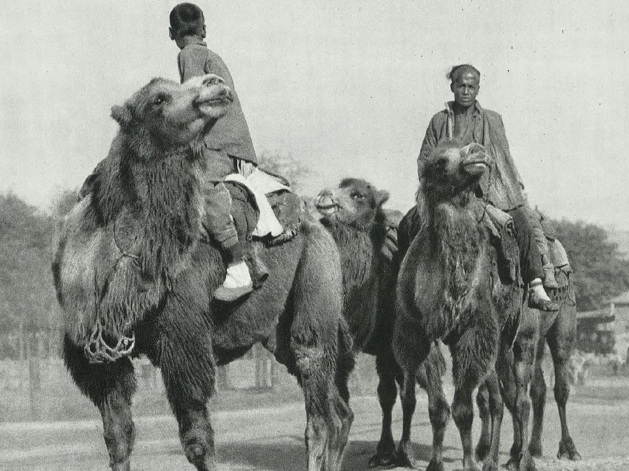 清末民初人们靠什么出行