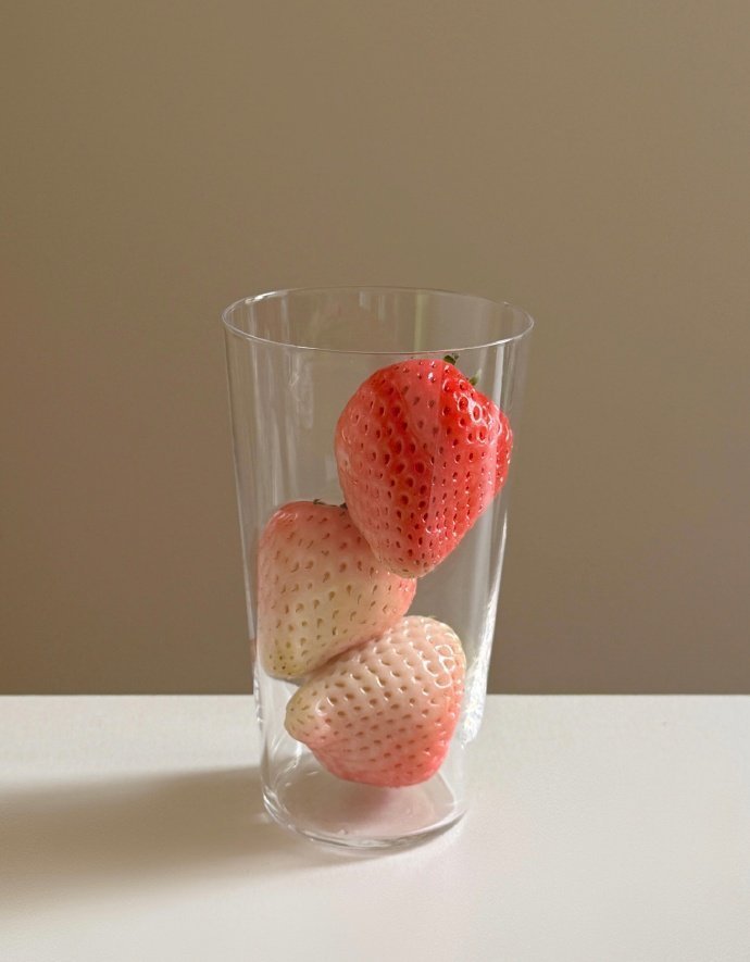 𝐏𝐮𝐩𝐩𝐲 𝐝𝐢𝐚𝐫𝐲·小狗日记🧂♡请积极生活⊹꙳ 