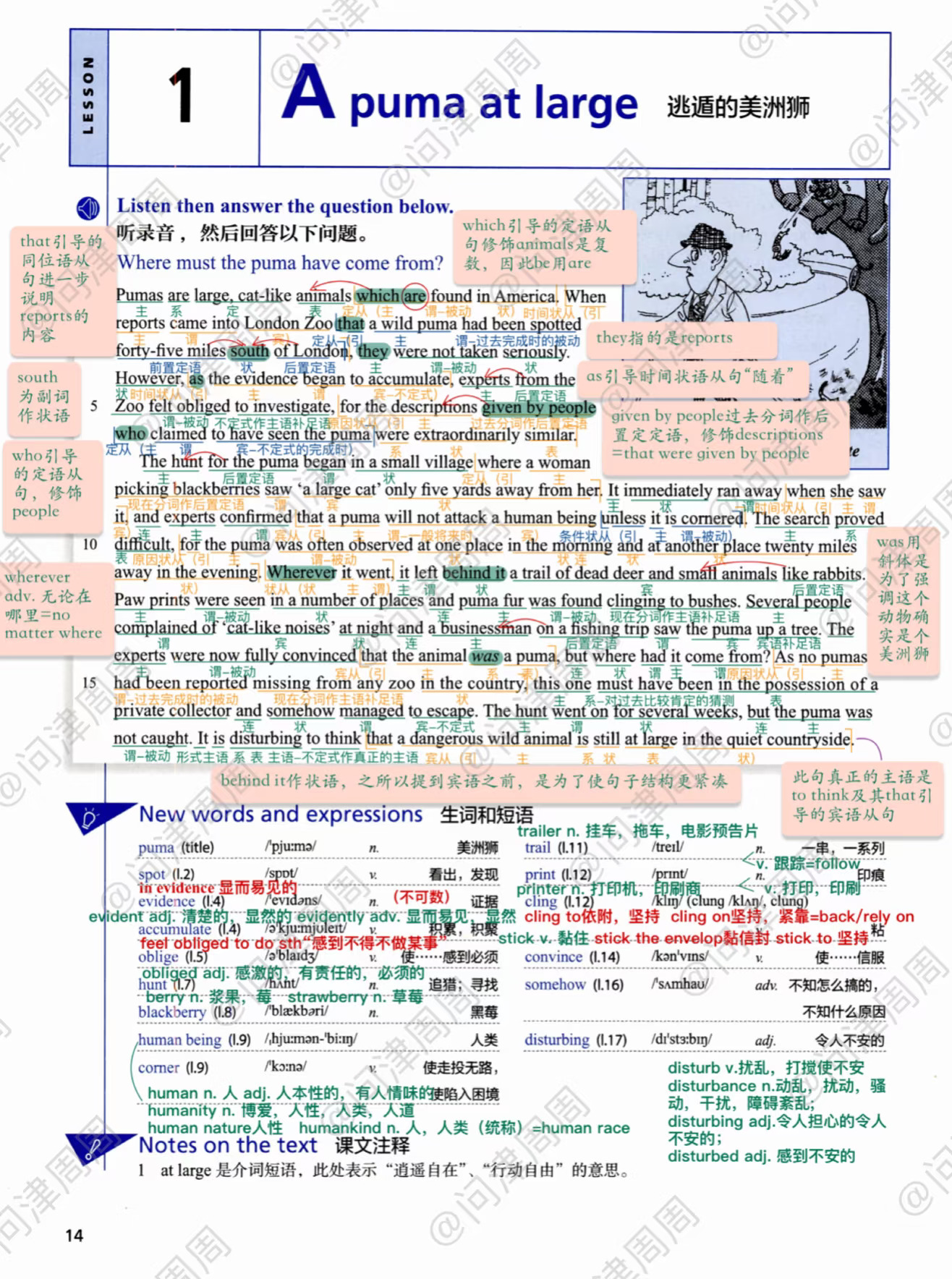 新概念英语第三册lesson1课本➕习题详解笔记