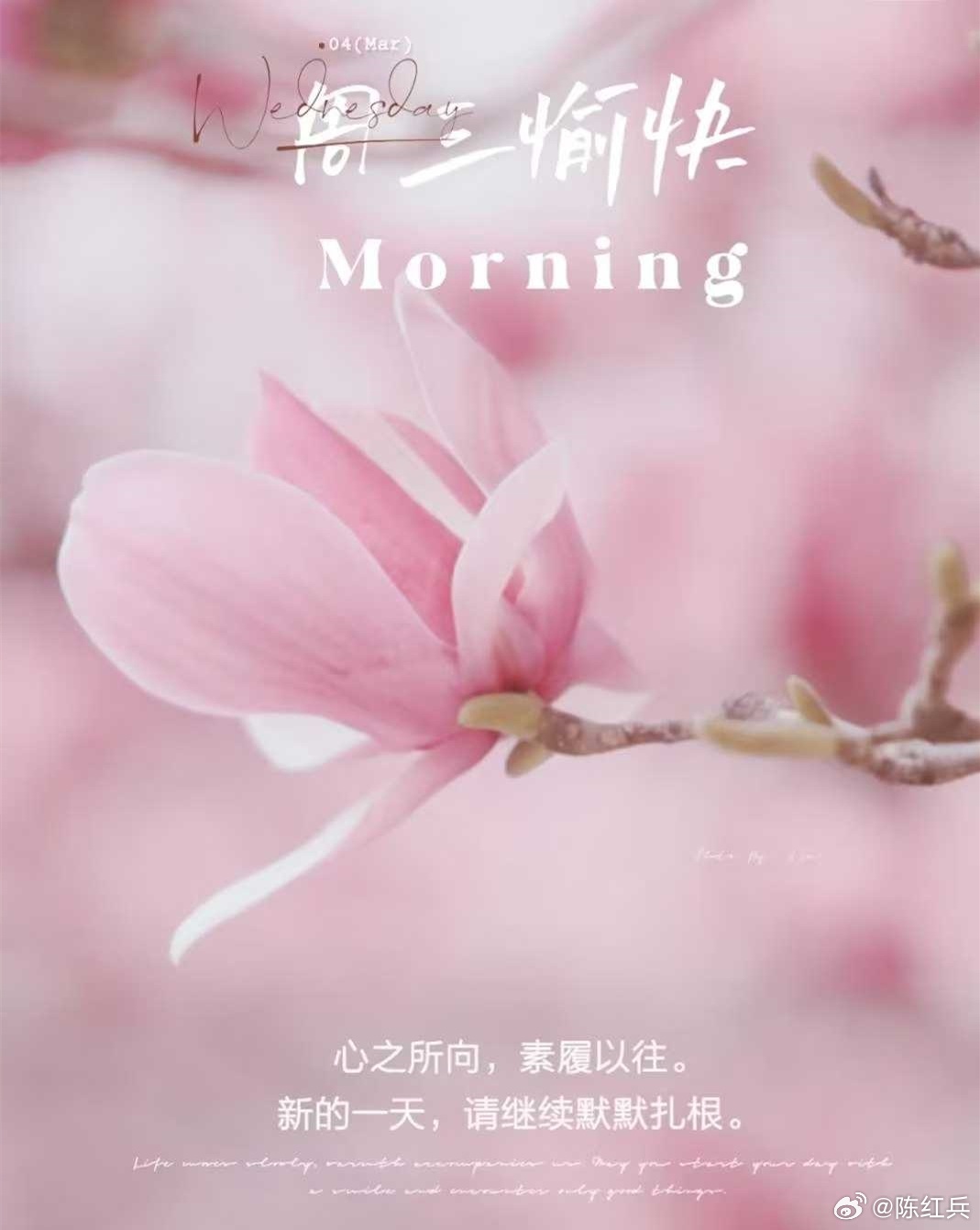 不必急着结果，坚持就好。所有美好，都在时光里慢慢酝酿。早上好，保持耐心，老铁们