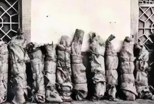 1937年，红军师团级干部被马家军残忍杀害后，尸体被绳子捆绑起来，整齐的排在墙边