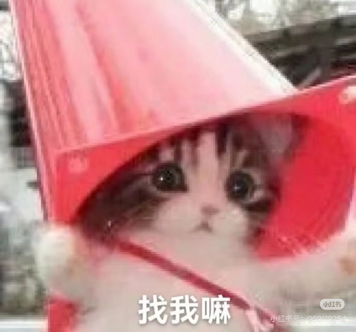 不停的上线，看来没来。 