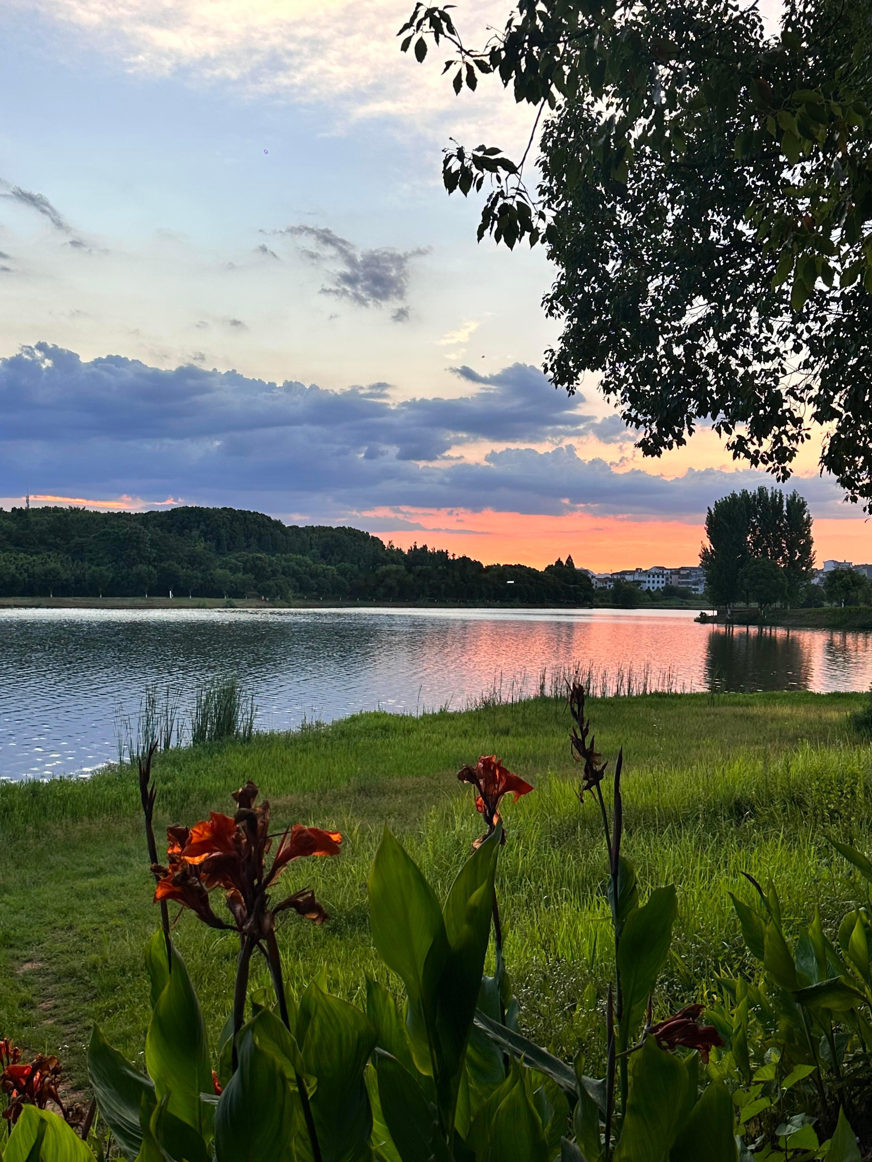 傍晚出来散步，沿着湖边慢慢走。夕阳把湖面染成暖橘色，树影、晚风还有天边成片的晚霞