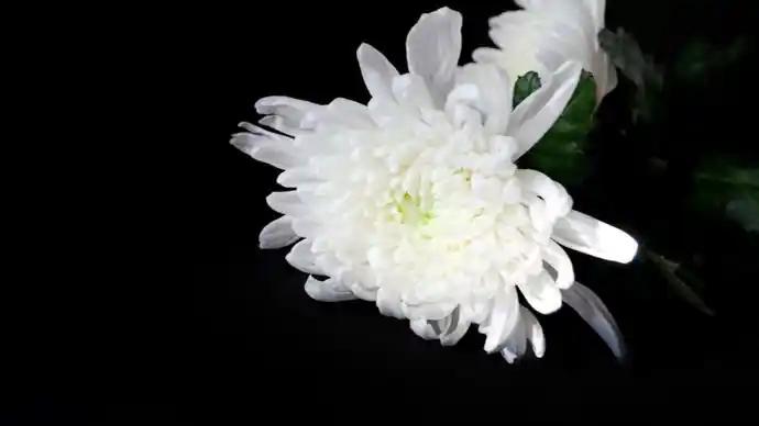 翟导走了，但他的光影世界永远活着！

听到翟俊杰导演去世的消息，心里真的挺难受。