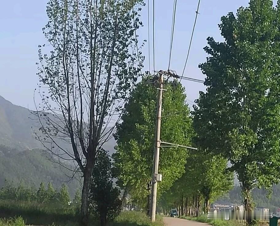 说实话，你觉得苗京京和素老三，她俩谁更厉害呢？

这段时间大家应该都有刷到，素老