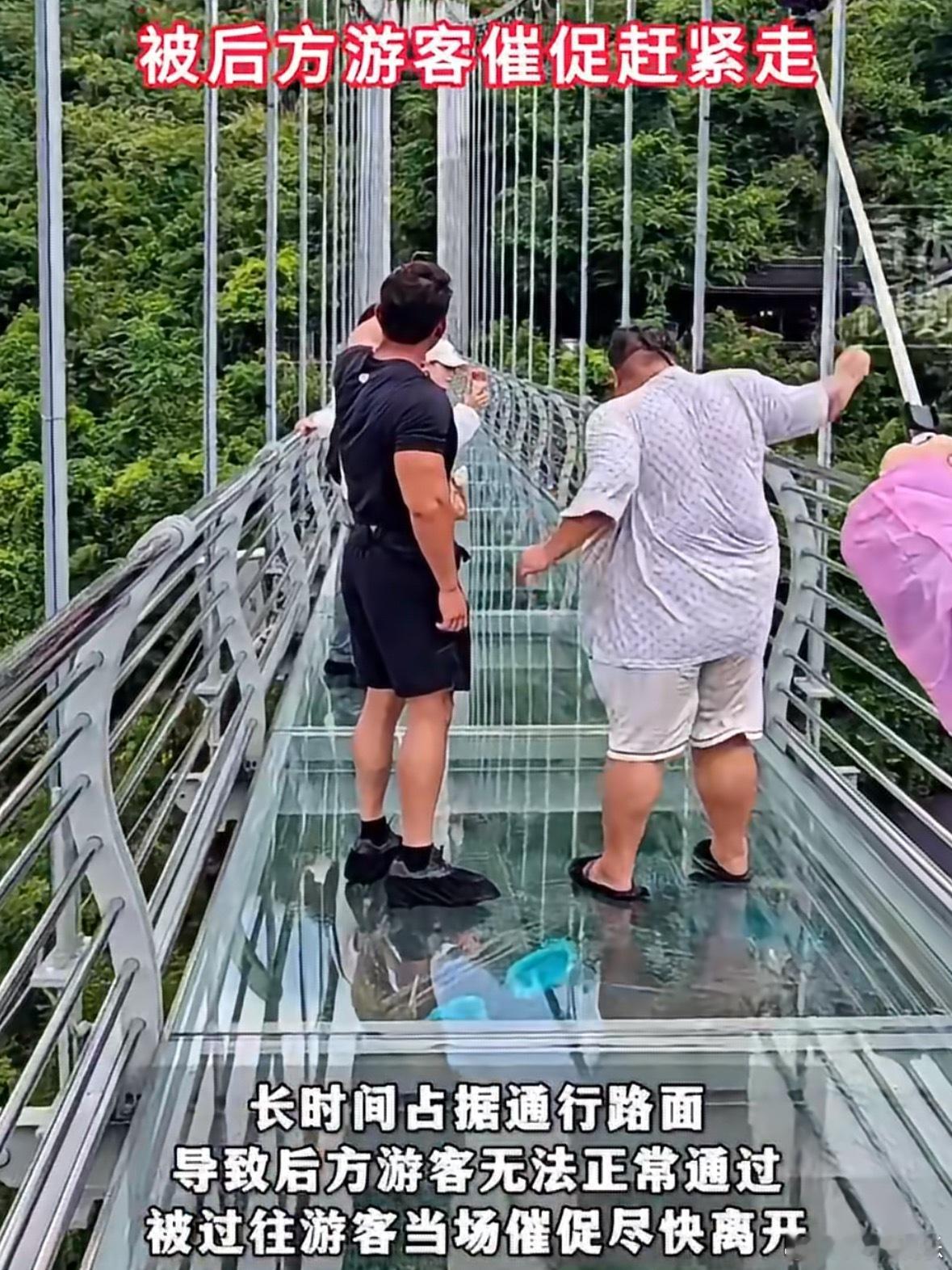 343斤网红玻璃桥跳舞被催促赶紧走 前一天刚在峨眉山被担架抬下来，第二天就又跑去