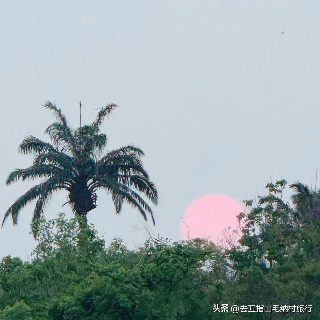 袁方离开马鞍山市赴滇履新
 
近日，该同志履新。
 
该同志1991年毕业于98