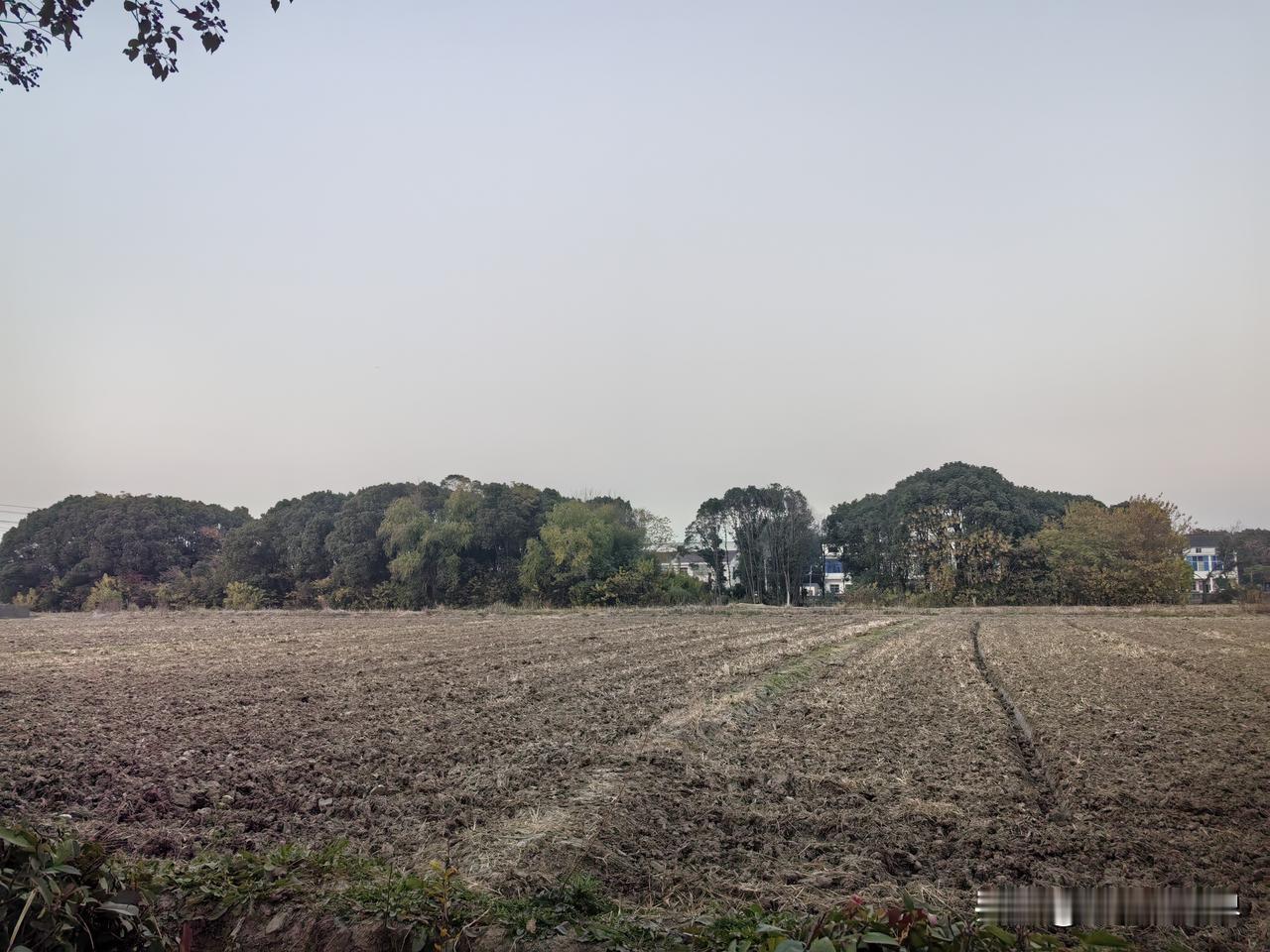 回到娘家，赶紧去看二伯母。但见她躺在床上，脸颊凹陷，双眼紧闭，只剩最后一点气力在