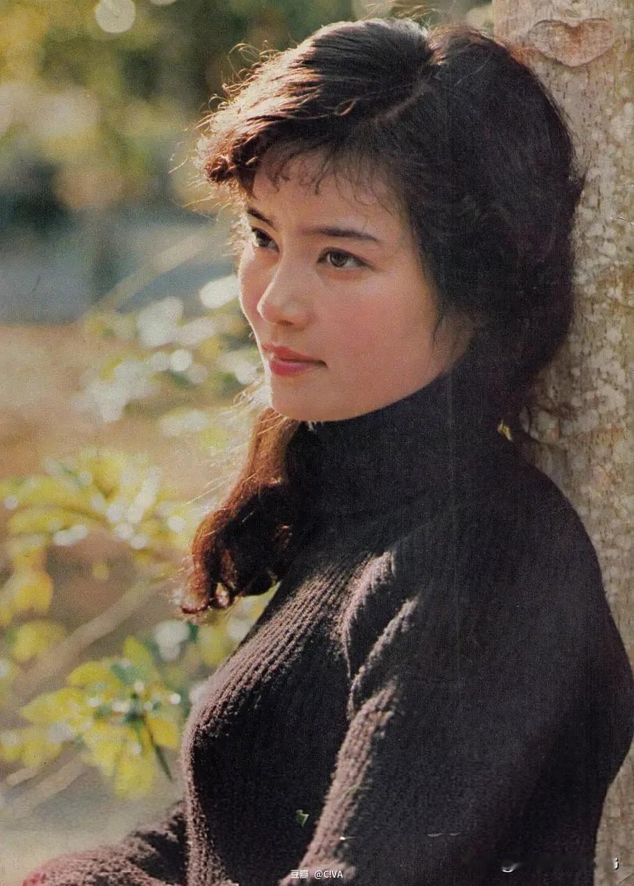 在那个物资匮乏的时代，有一种刊物现在已经很少见了，就是“画报”：《解放军画报》《