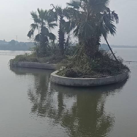 晋衢的爱在何方