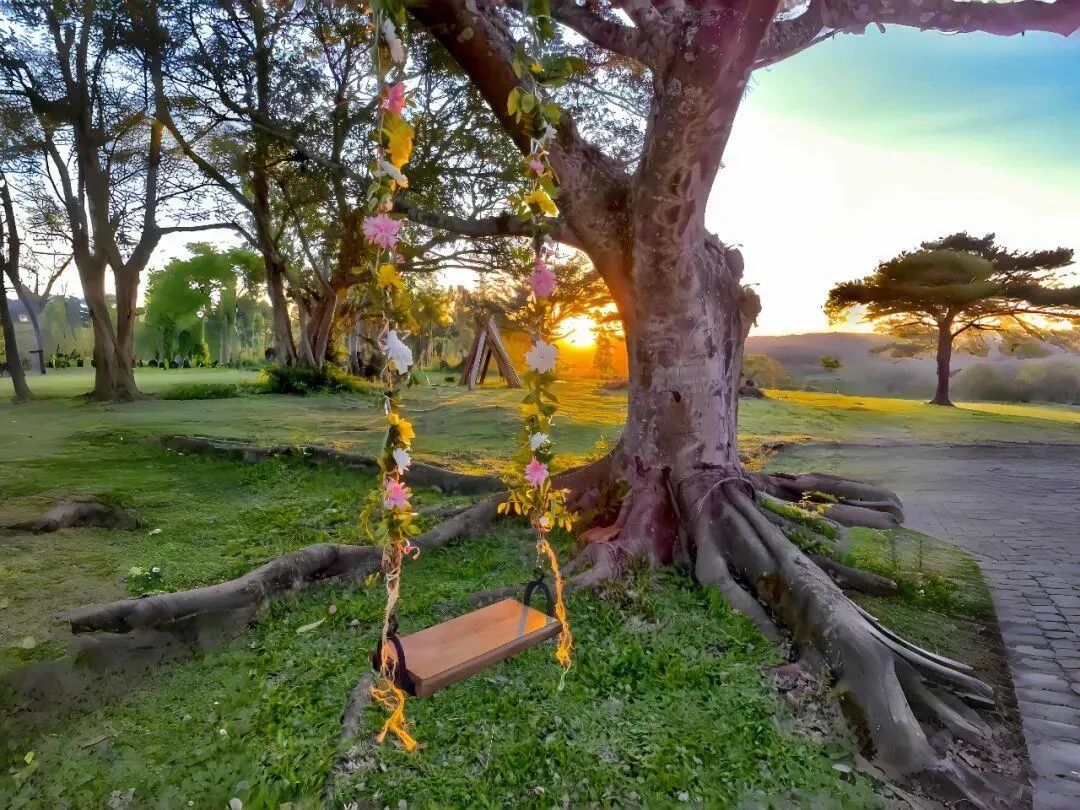 人生百味，随意随遇，自在安稳就好 