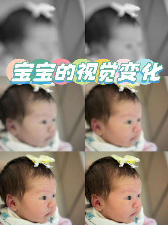 一张图说明人类幼崽的视力进化史