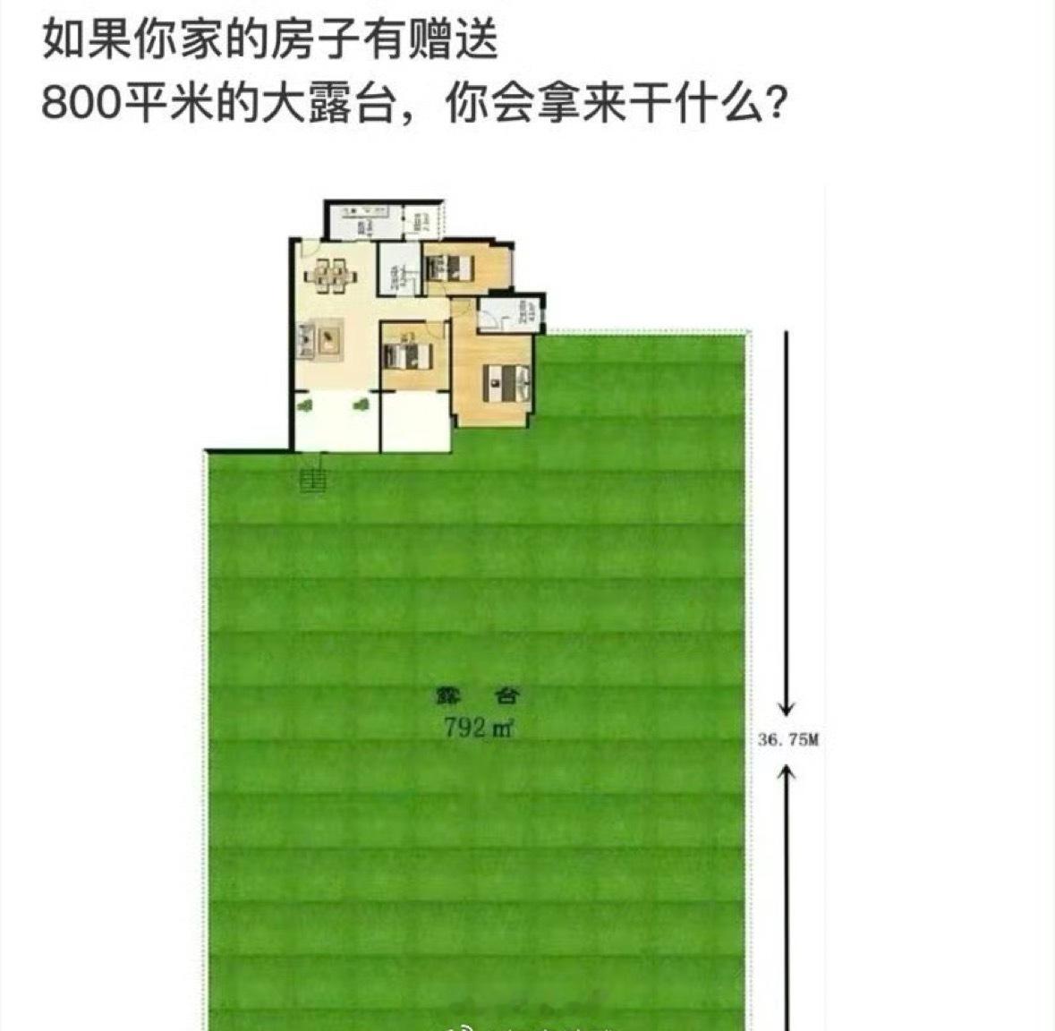 你会拿来干什么？ 