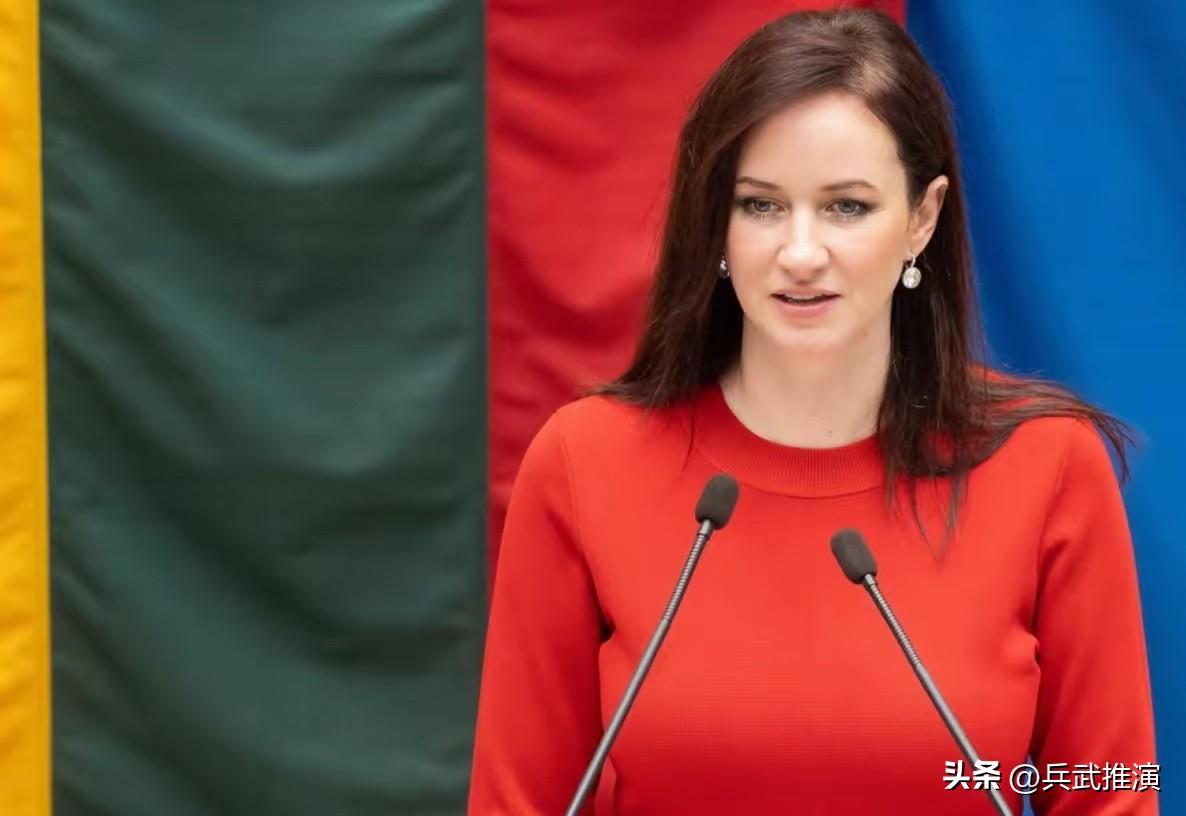 立陶宛总理再次表达悔意，还不准备改正错误，转头问台当局要好处

立陶宛总理嘴上认