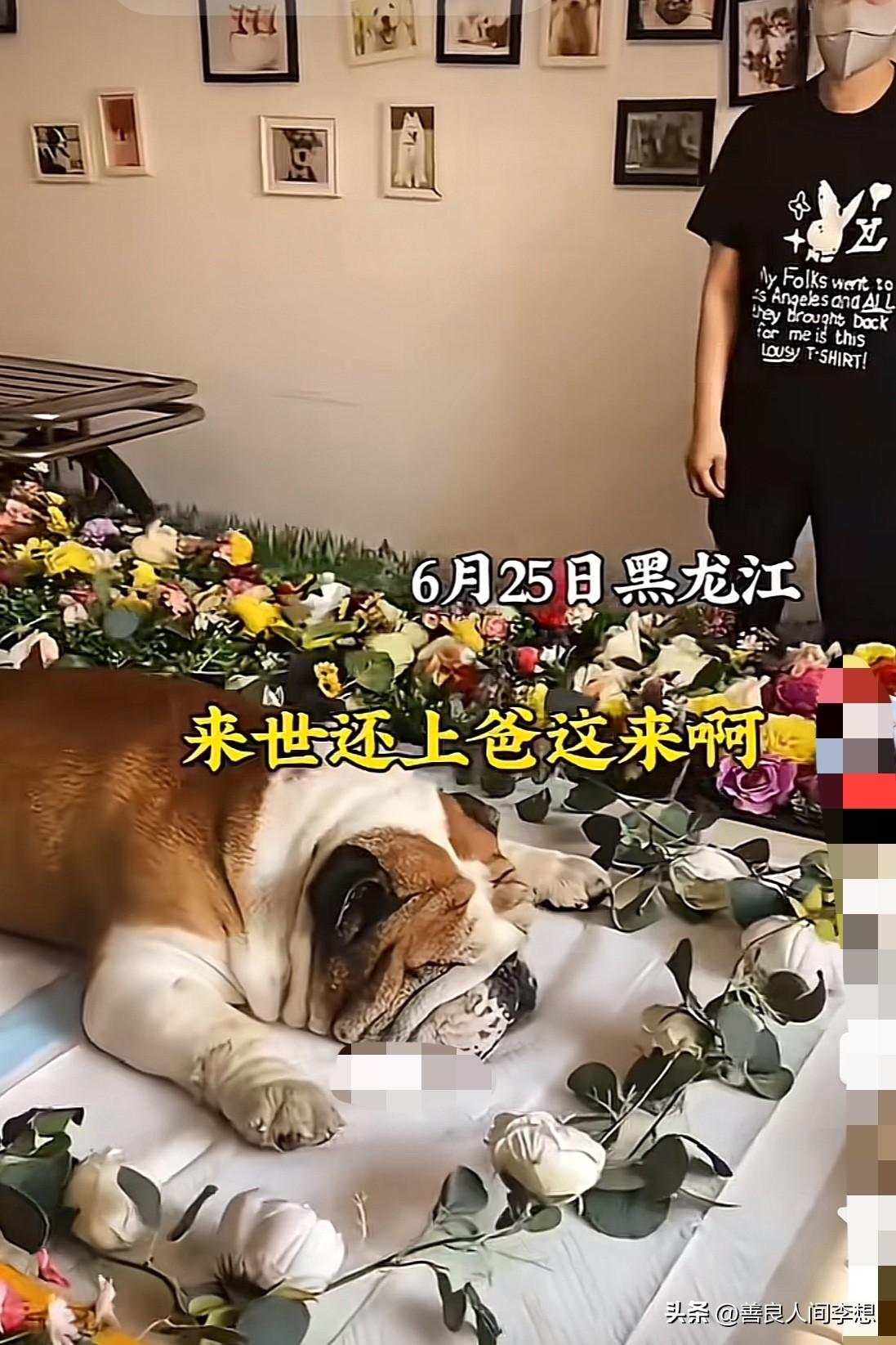 来世还上爸这来，听这话好像是在给儿子说的，看到图才明白是咋回事。

6月25日黑