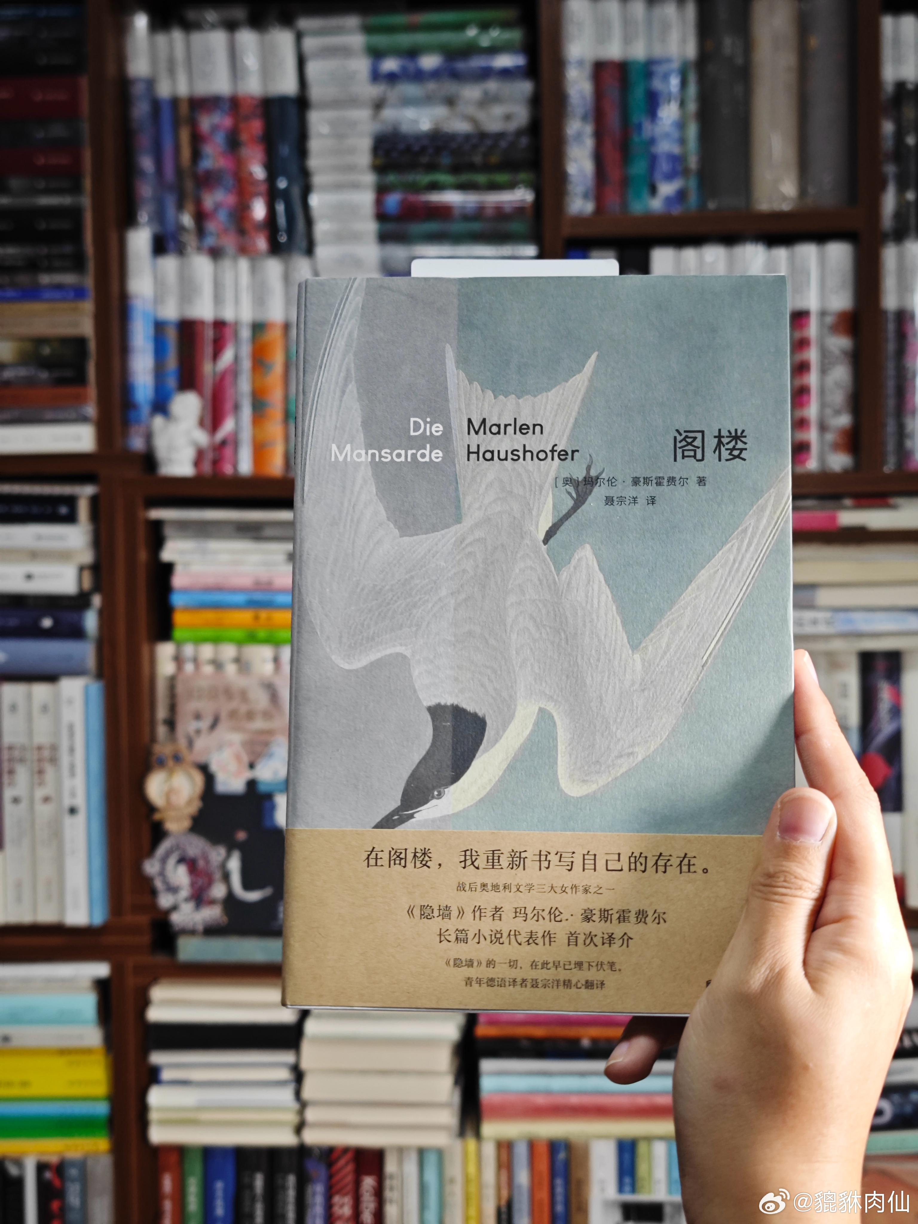 读书滋养气质我的私人宝藏书单书评 豪斯霍费尔《阁楼》同样用德语书写的奥地利女作家