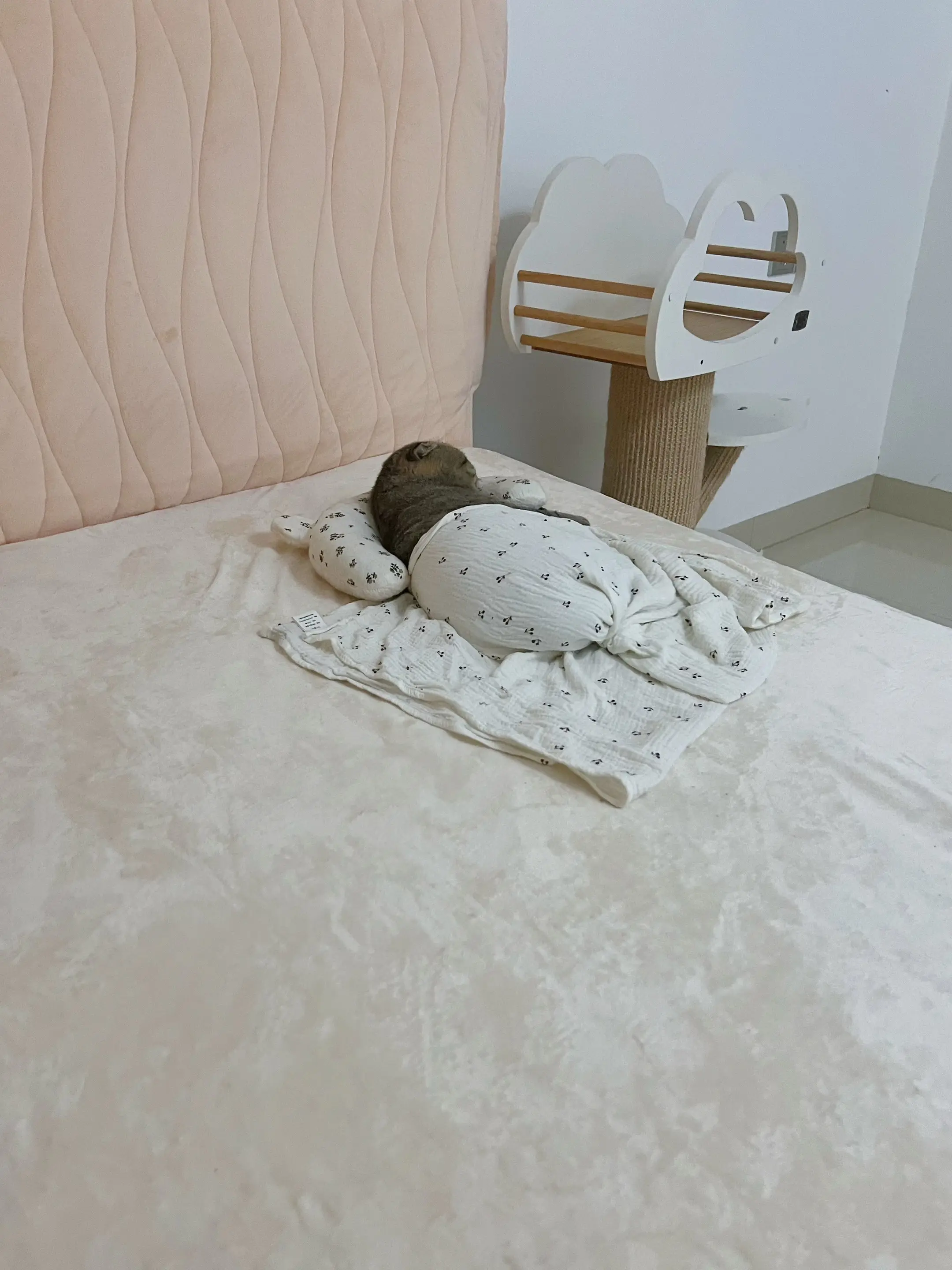 我的床搭子。