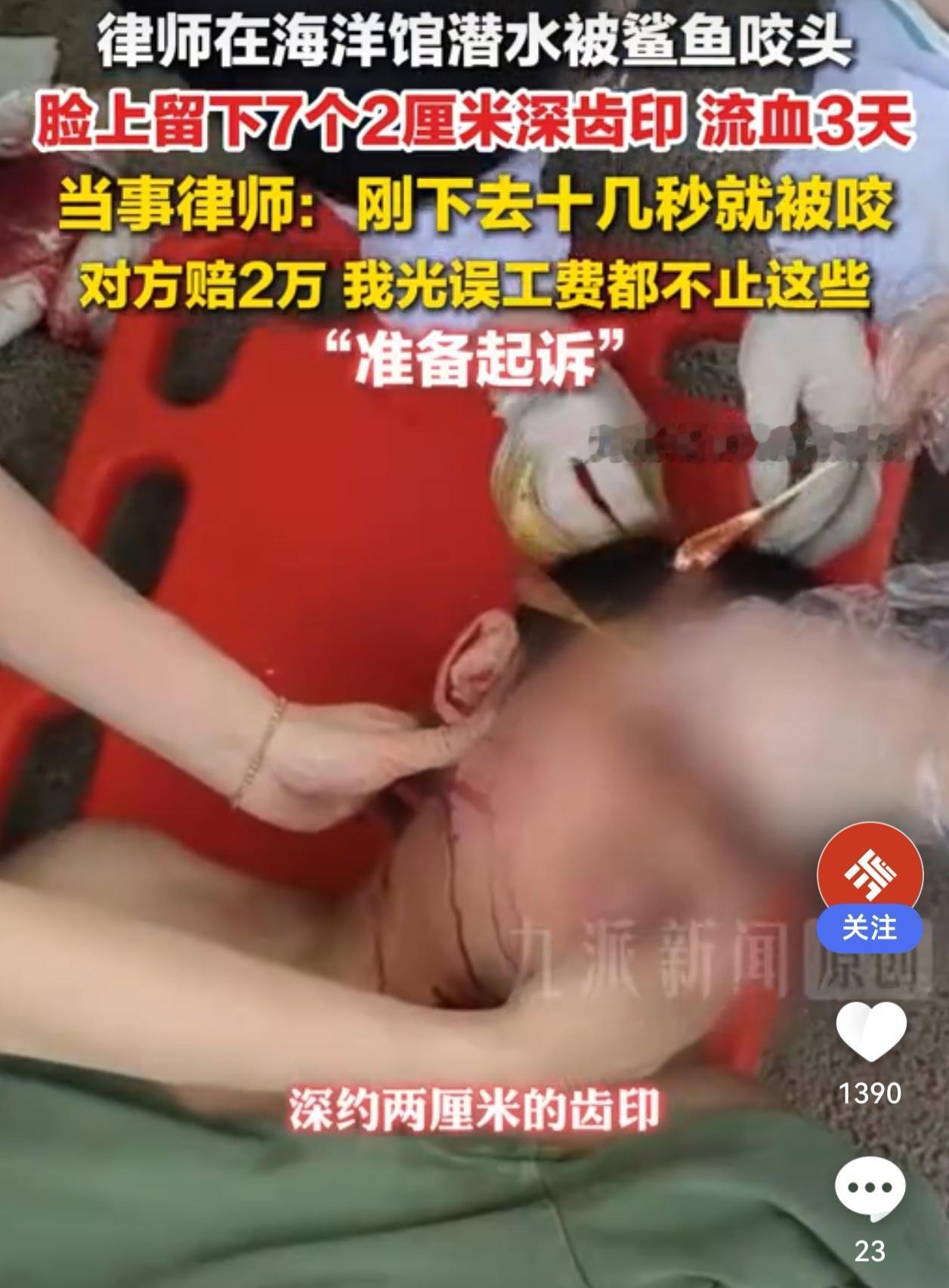 今天这条热搜，看得人头皮发麻，又有点哭笑不得——一名律师去海洋王国潜水，下水才十