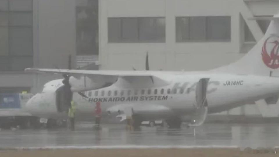 日本一客机起飞后单侧引擎失效 12月11日，日本北海道航空系统公司一架客机在丘珠