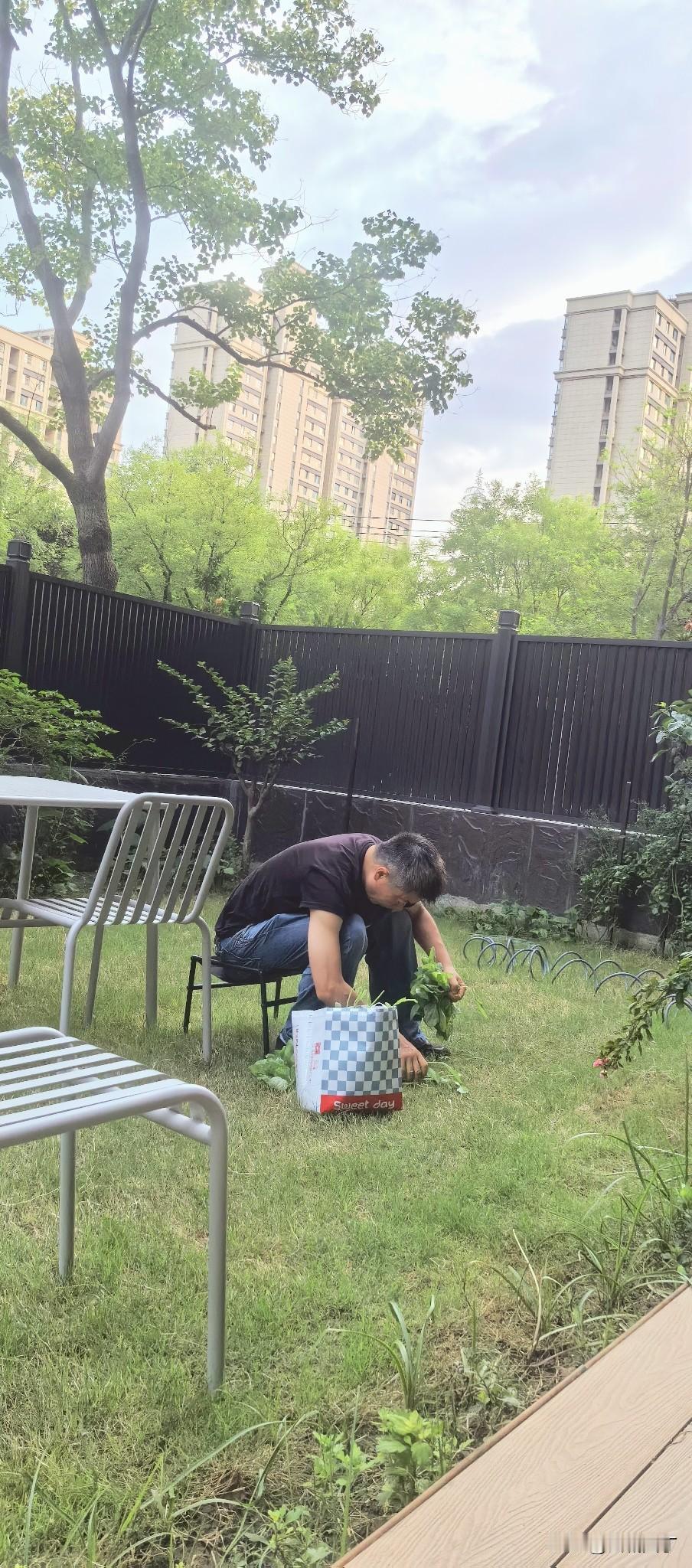 一大早，我知道不说后一句话孩子他爹会很开心，但我还是说了哈。

“他爹，你辛苦了