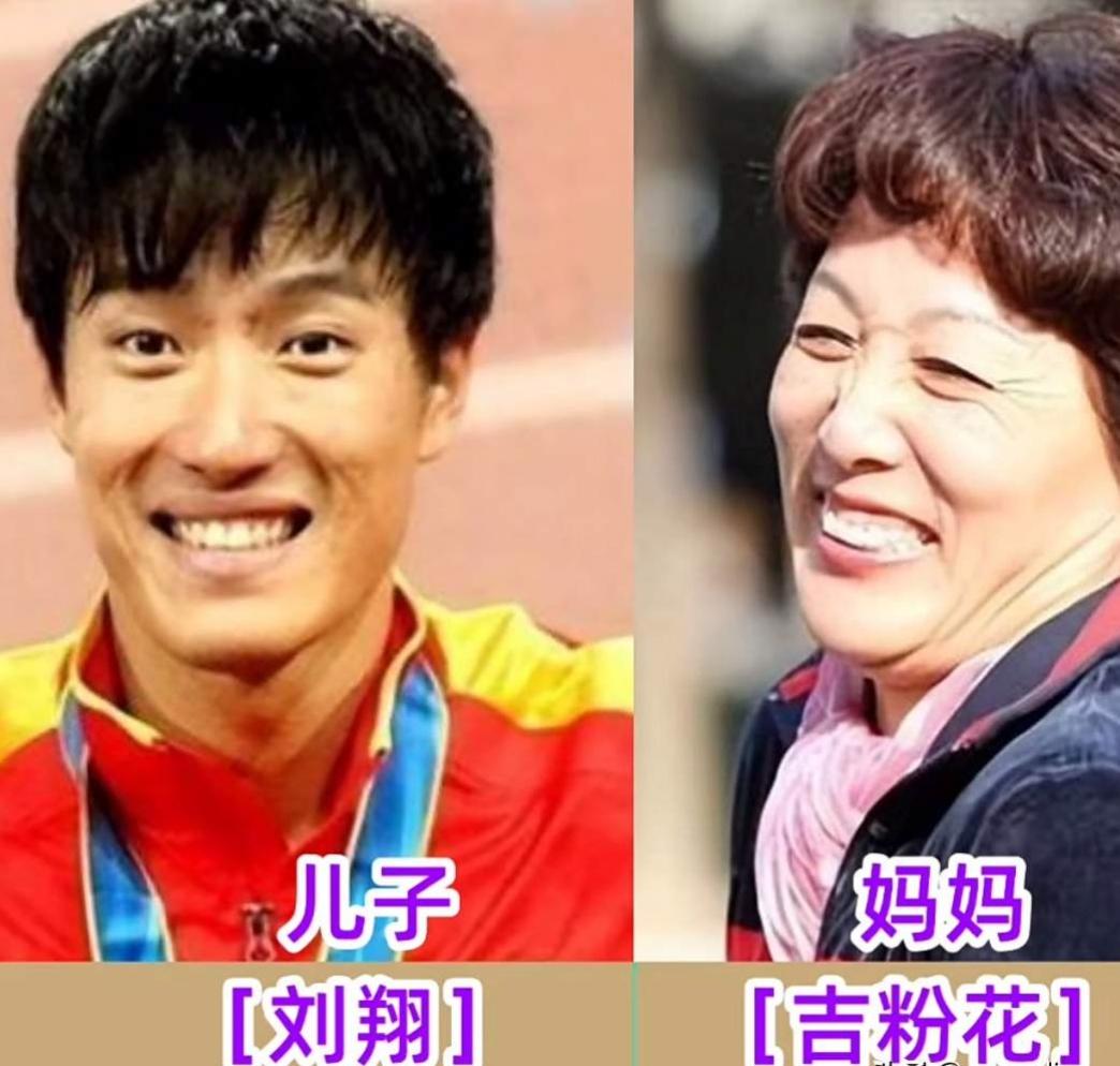 一众奥运冠军与母亲同框对比画面温馨动人，每位妈妈面容温柔和善，冠军儿女赛场奋勇拼