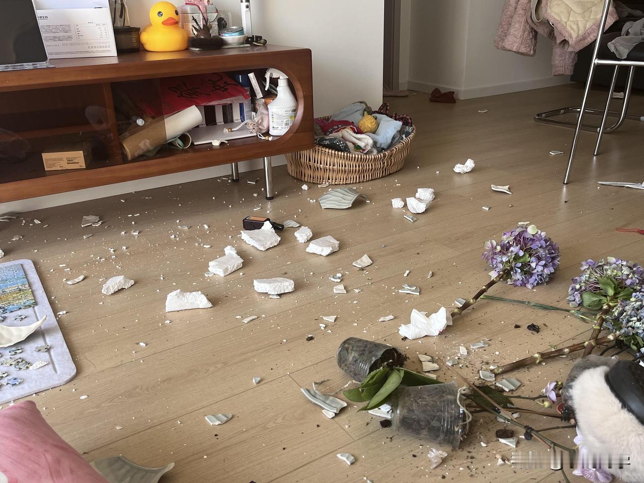 谁懂那种“气到砸了自己家，然后蹲在地上边哭边捡碎片”的崩溃啊！我今天算是把这出“
