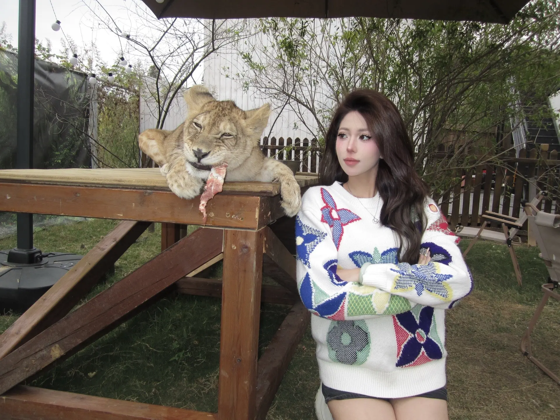 未央湖公园可以撸小狮子啦。鸟山鸟咖一票通玩，既可以撸鸟撸狮子还可以撸蟒...