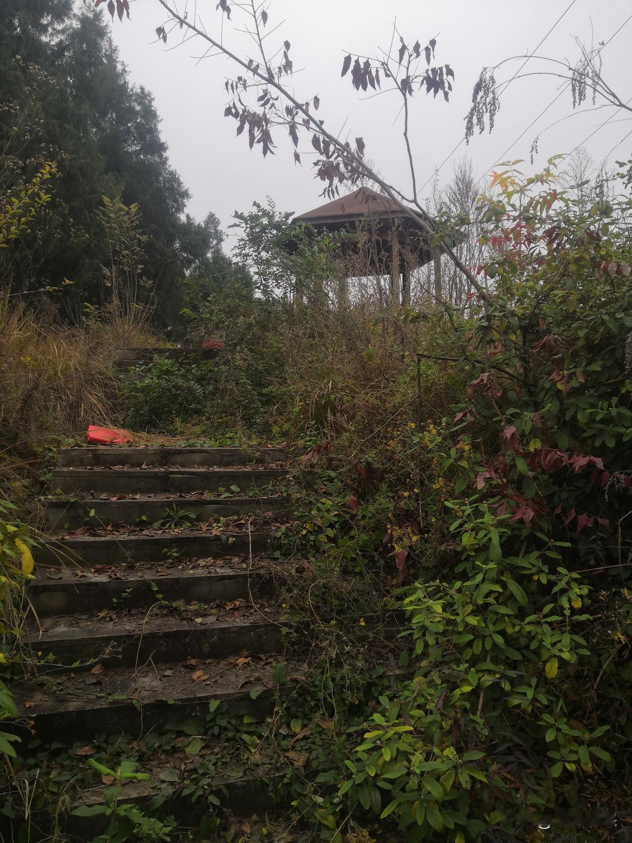 感觉这个景色又配不上很美丽的情况，但确实是很美丽的乡村面貌。
冬日，各种树木的落