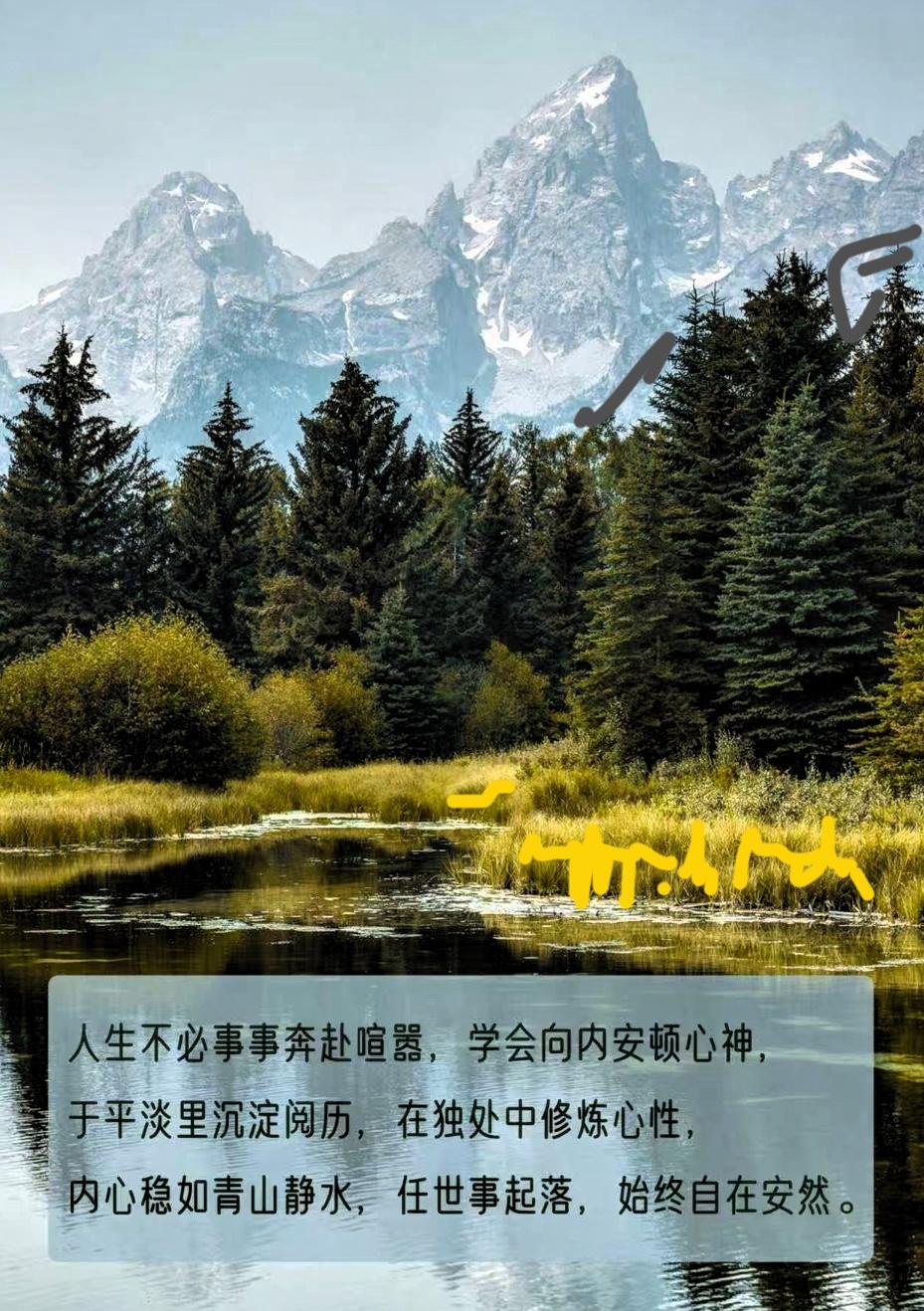 人生不必事事奔赴喧嚣，学会向内安顿心神。
有人总喜欢去迎合別人，看别人脸色，生怕