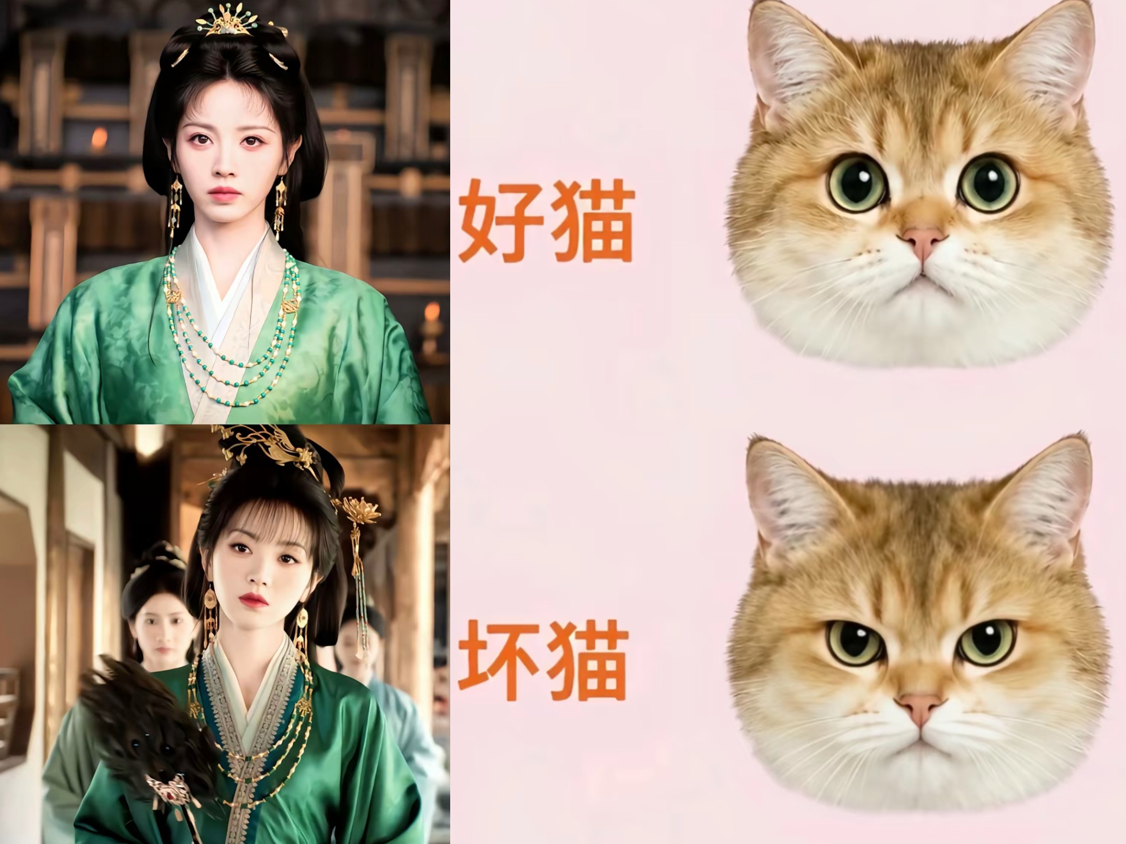 完全就是一猫一样啊 ​​​