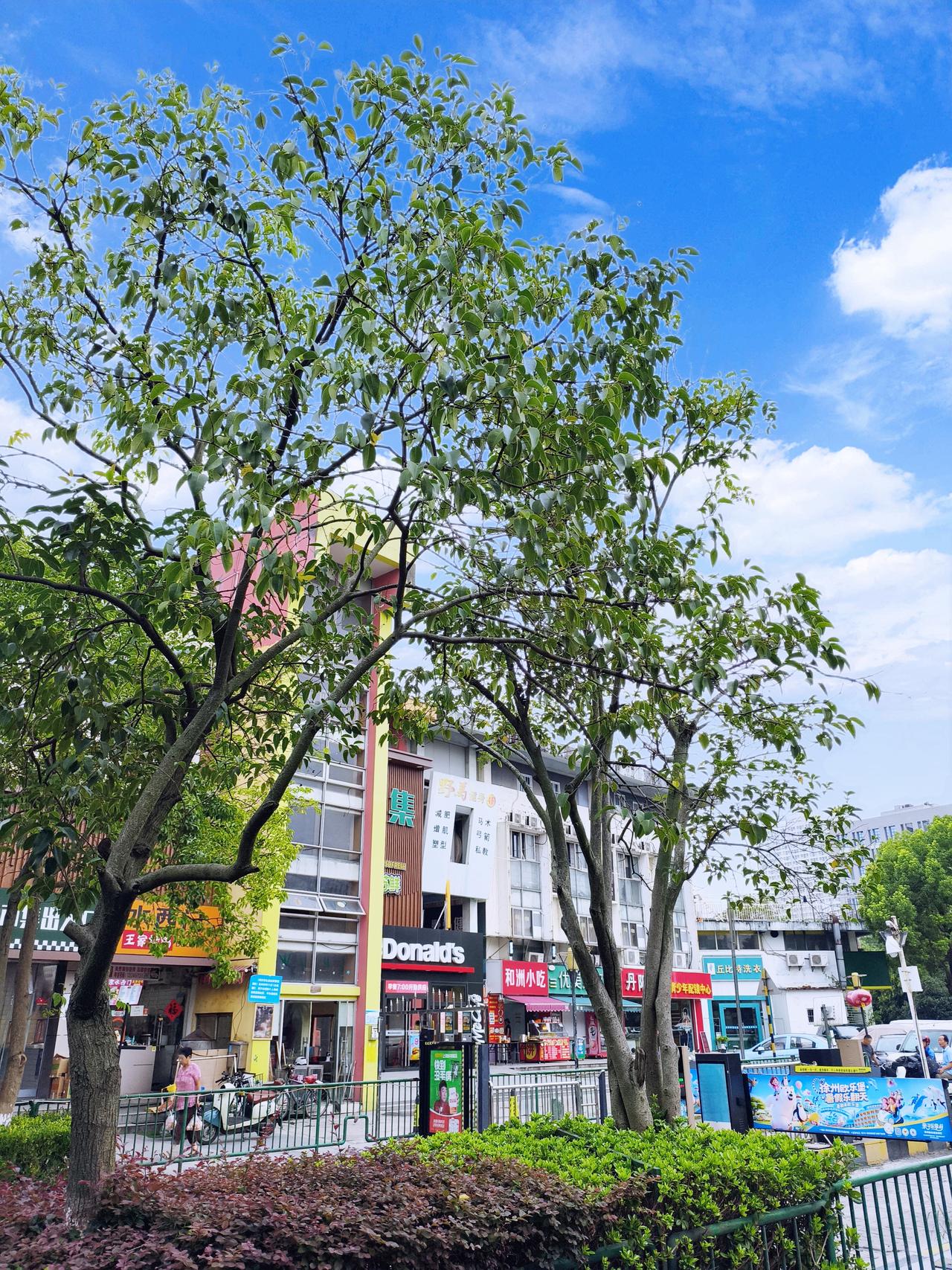 今日大暑，热得简直没了谱儿，气温就像坐了火箭，35℃那是起步价，40℃都成了家常