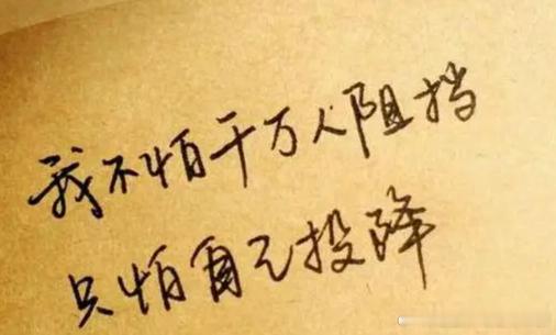 每日一善 人生中有时候需要一份勇气和决心，让我们排除万难，直达自己人生的巅峰。 