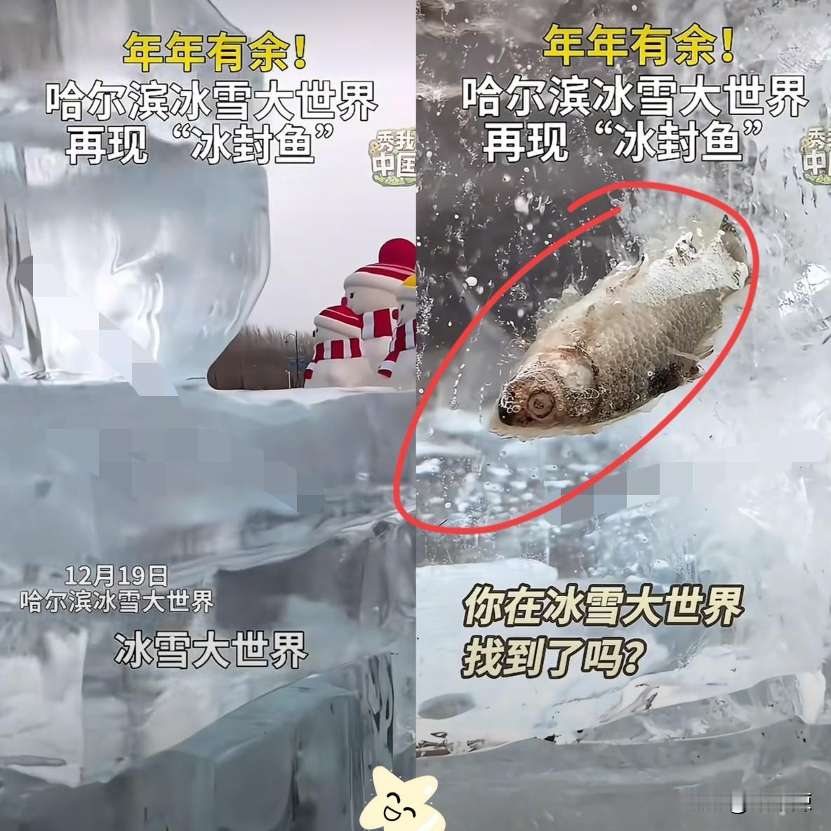 我严重怀疑，
哈尔滨冰雪大世界里，藏着一个顶级的产品经理。全网疯魔打卡的，居然是