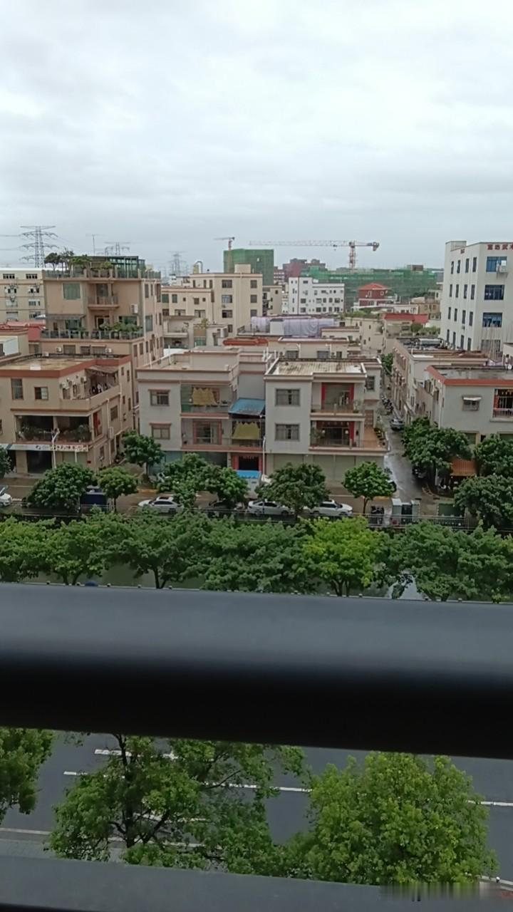 早上的空气就是好