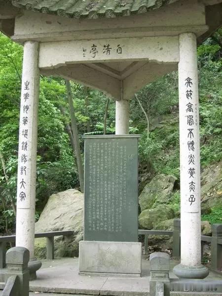 粗茶迎新春